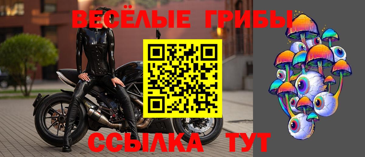 где купить наркоту  Вход с VPN  Троицк  Галлюциногенные грибы MAGIC MUSHROOMS 