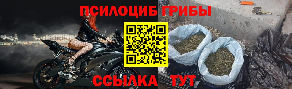 Псилоцибиновые грибы Psilocybine cubensis Троицк